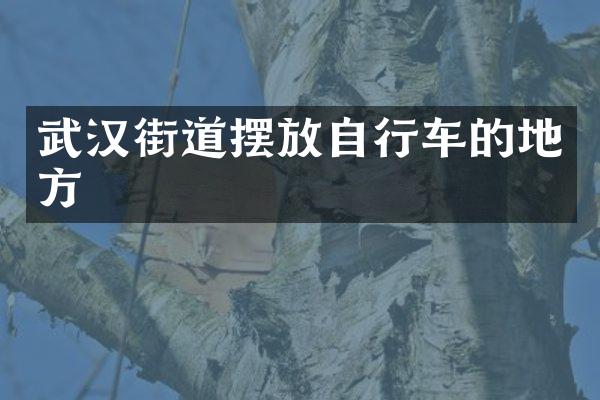 武汉街道摆放自行车的地方