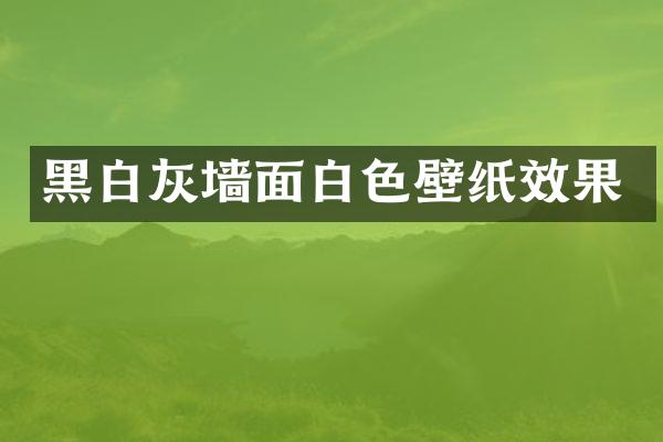 黑白灰墙面白色壁纸效果