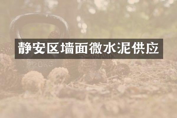 静安区墙面微水泥供应