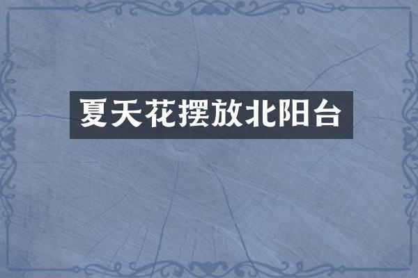 夏天花摆放北阳台