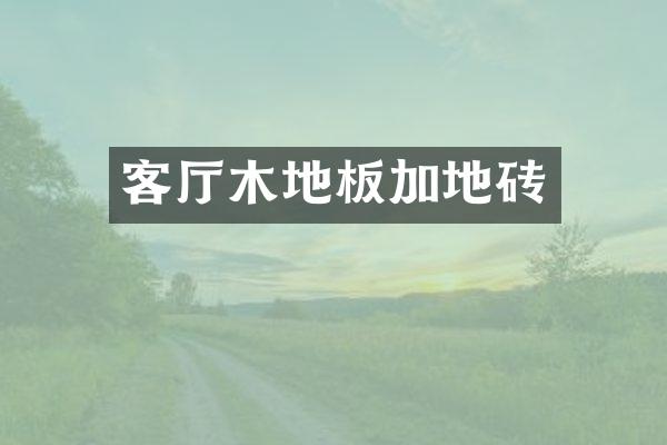 客厅木地板加地砖