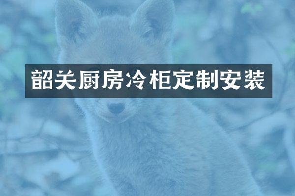 韶关厨房冷柜定制安装