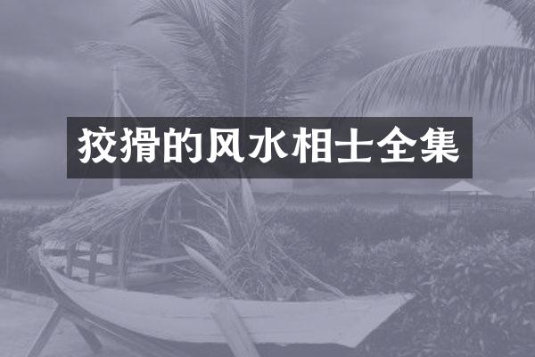 狡猾的风水相士全集