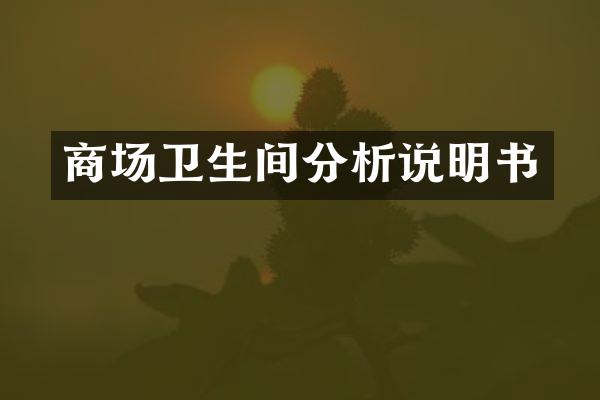 商场卫生间分析说明书
