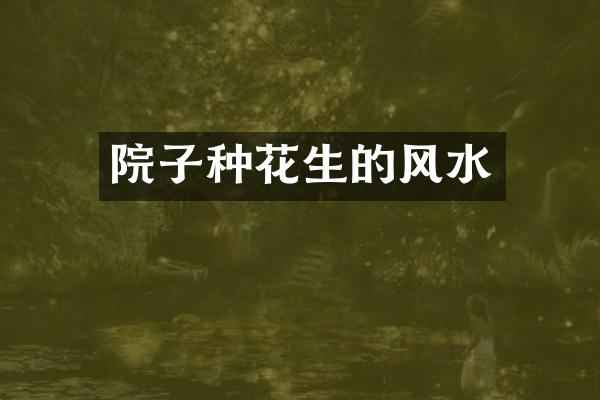 院子种花生的风水