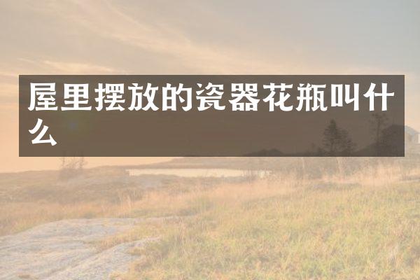 屋里摆放的瓷器花瓶叫什么