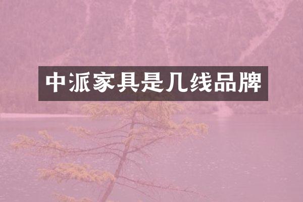 中派家具是几线品牌