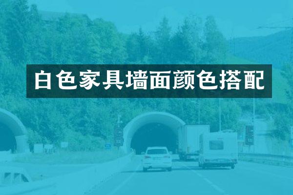 白色家具墙面颜色搭配