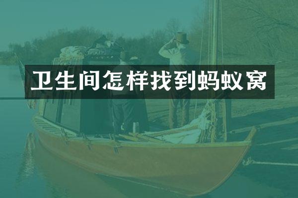 卫生间怎样找到蚂蚁窝