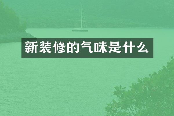 新装修的气味是什么