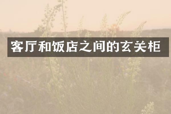 客厅和饭店之间的玄关柜