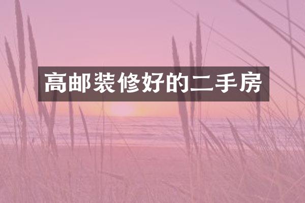 高邮装修好的二手房