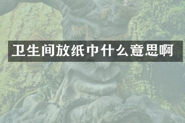 卫生间放纸巾什么意思啊