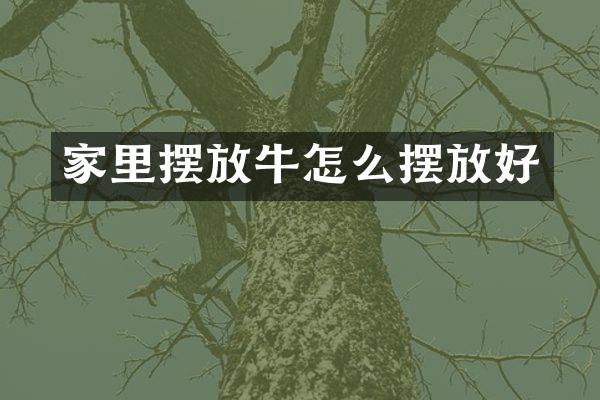 家里摆放牛怎么摆放好
