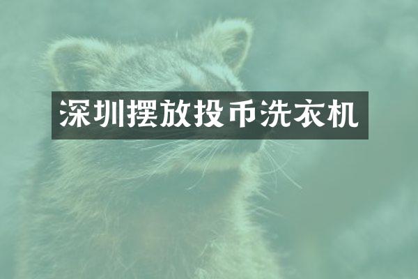 深圳摆放投币洗衣机