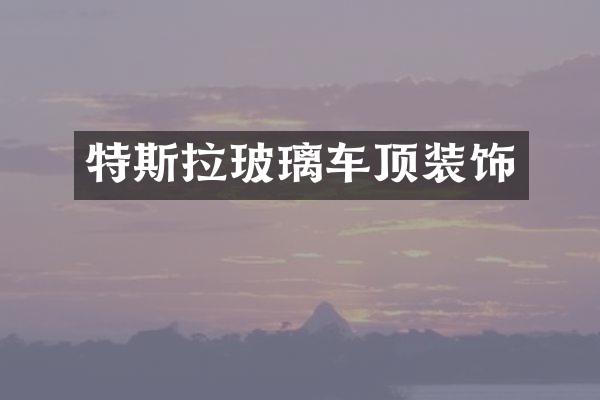 特斯拉玻璃车顶装饰