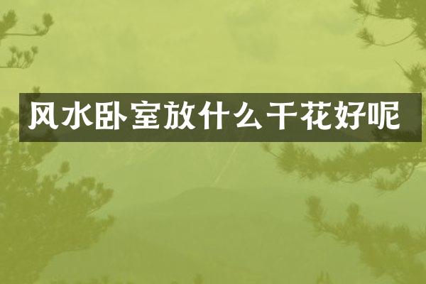 风水卧室放什么干花好呢