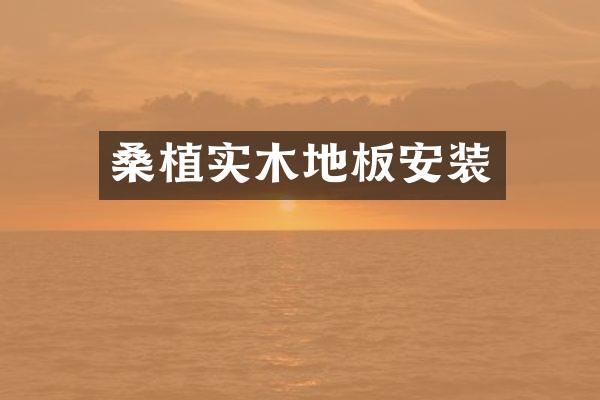 桑植实木地板安装