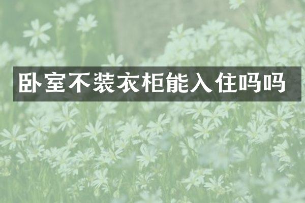 卧室不装衣柜能入住吗吗