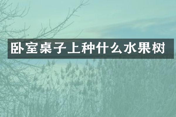 卧室桌子上种什么水果树