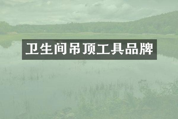 卫生间吊顶工具品牌
