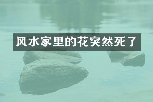 风水家里的花突然死了