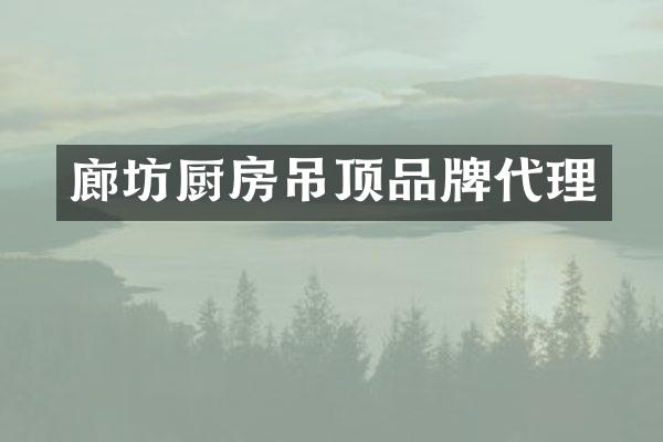 廊坊厨房吊顶品牌代理