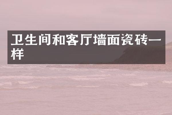 卫生间和客厅墙面瓷砖一样