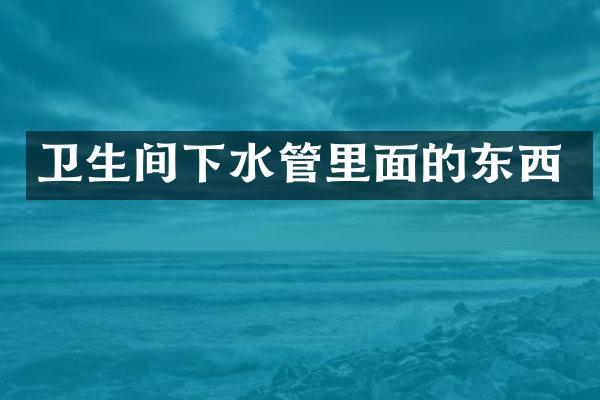 卫生间下水管里面的东西