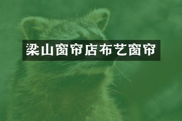 梁山窗帘店布艺窗帘