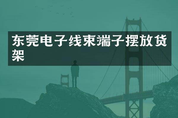 东莞电子线束端子摆放货架
