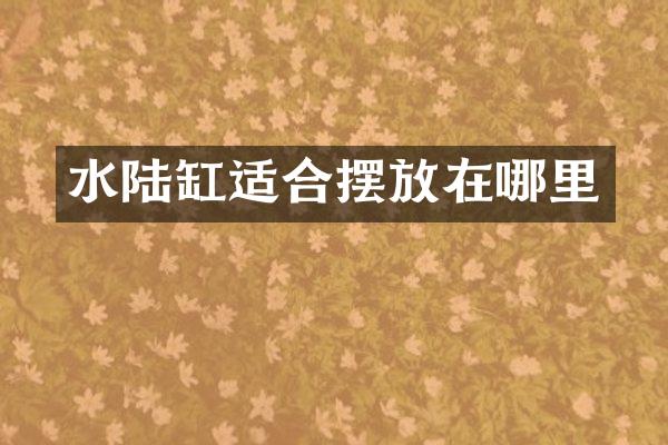 水陆缸适合摆放在哪里