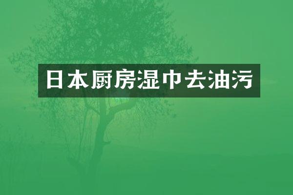 日本厨房湿巾去油污