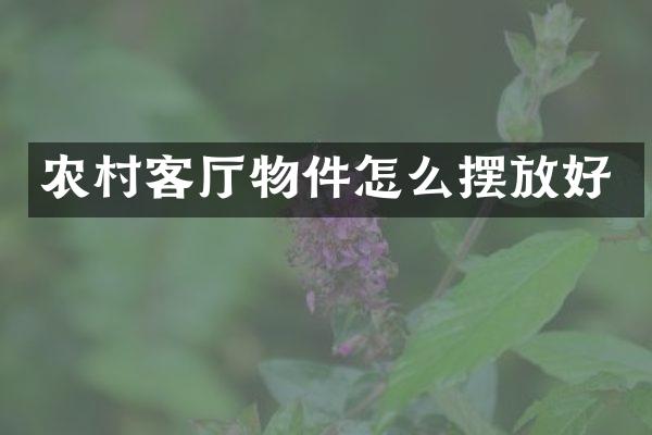 农村客厅物件怎么摆放好