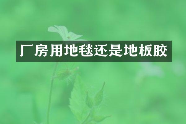 厂房用地毯还是地板胶