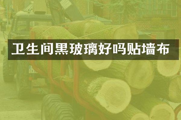卫生间黑玻璃好吗贴墙布