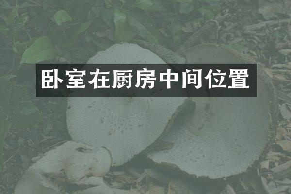 卧室在厨房中间位置