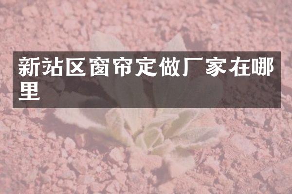 新站区窗帘定做厂家在哪里