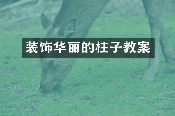 装饰华丽的柱子教案