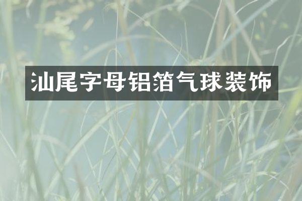汕尾字母铝箔气球装饰