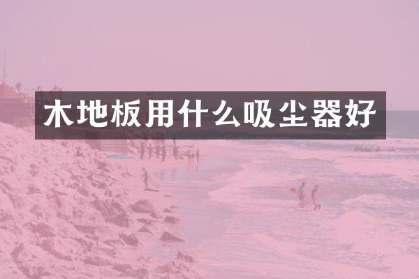 木地板用什么吸尘器好