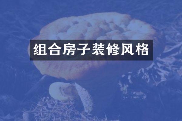 组合房子装修风格