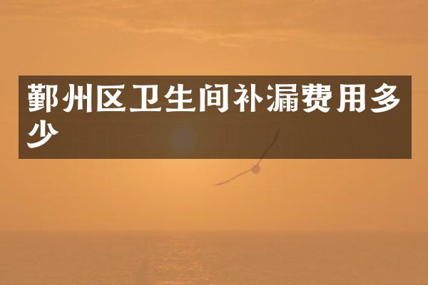 鄞州区卫生间补漏费用多少