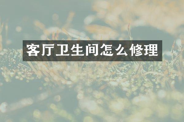 客厅卫生间怎么修理