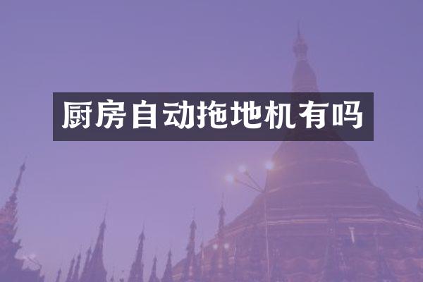 厨房自动拖地机有吗