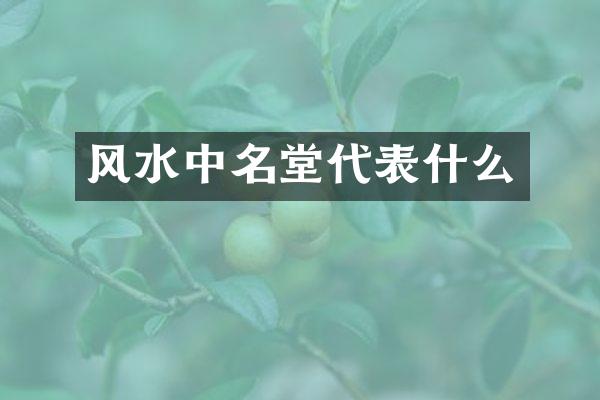 风水中名堂代表什么