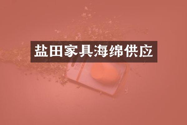 盐田家具海绵供应