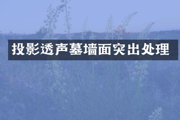 投影透声墓墙面突出处理