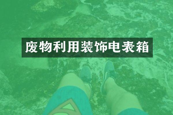 废物利用装饰电表箱