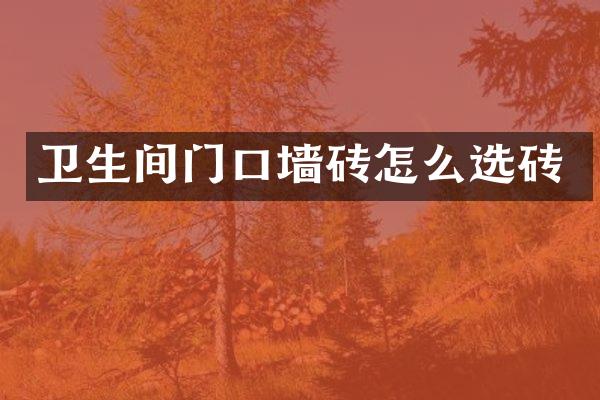 卫生间门口墙砖怎么选砖